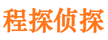 武进市调查公司